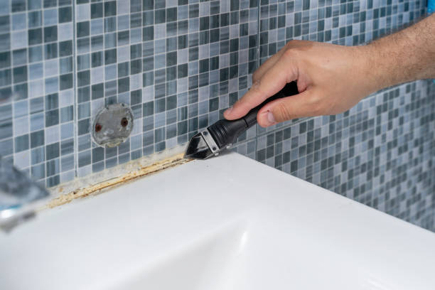 Best Toxic Mold Removal  in Plainfield, NJ
