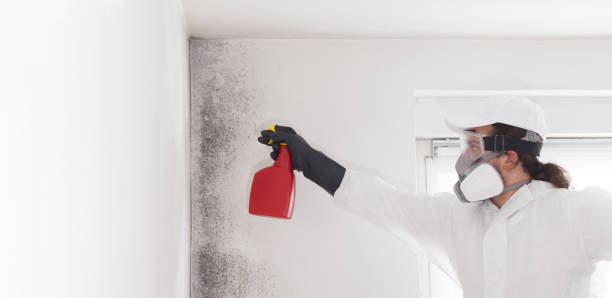 Best Professional Mold Removal  in Plainfield, NJ