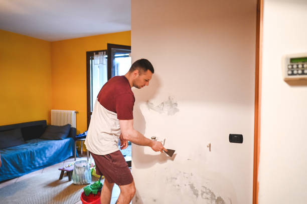 Certified Mold Removal in Plainfield, NJ